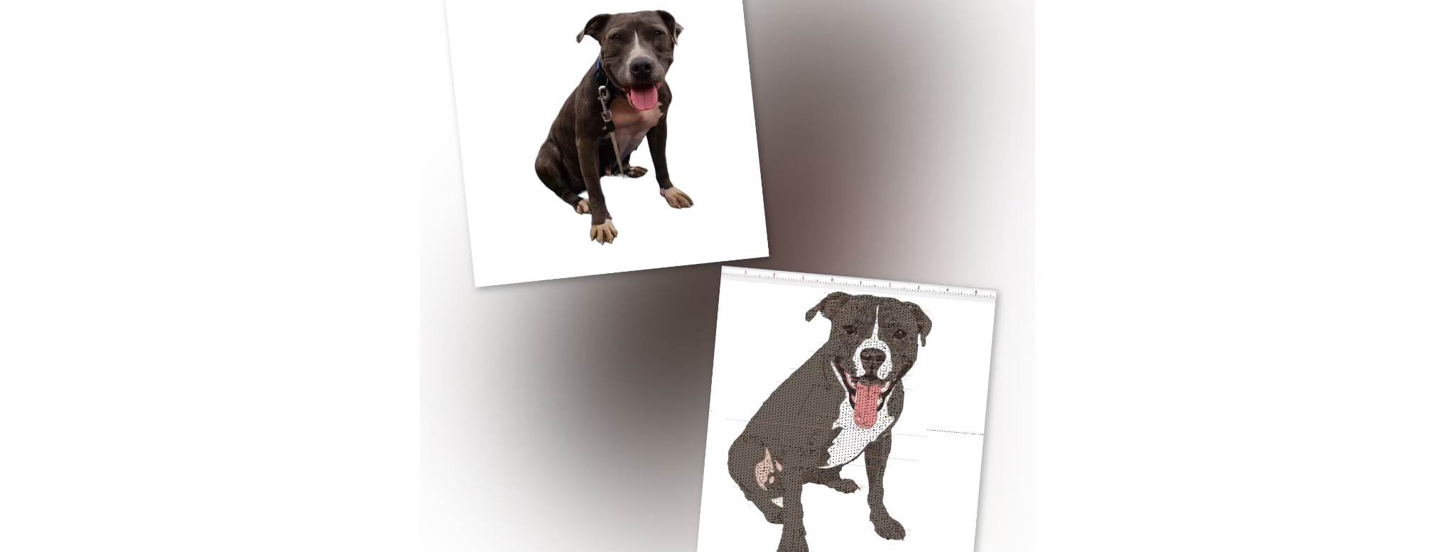 Vyšívání | obrázek pejska