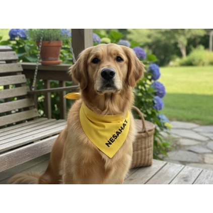 Žlutý šátek pro pejsky