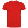 25.cervena