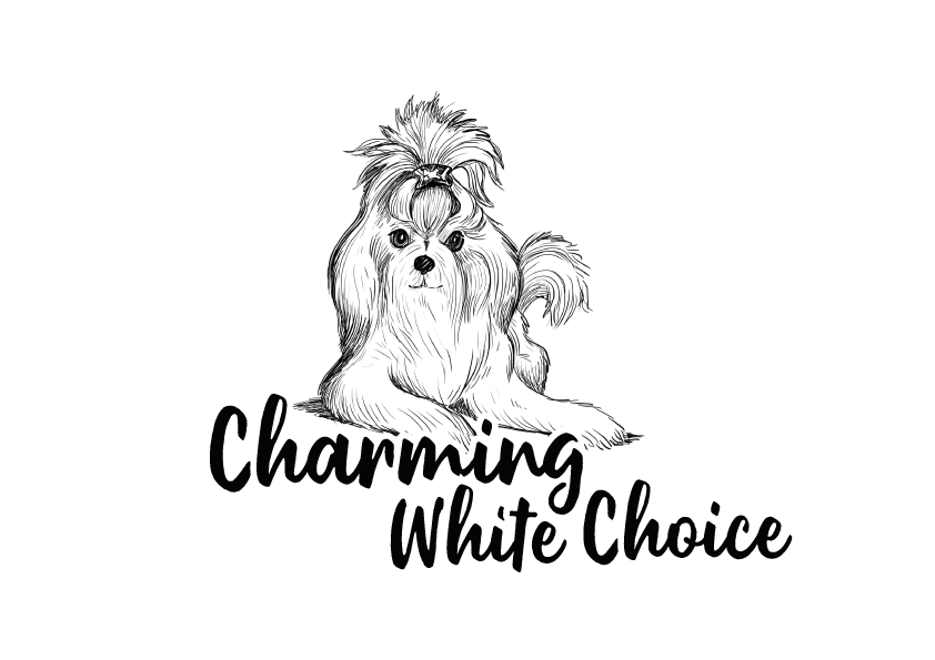 The new e-shop is finally here!