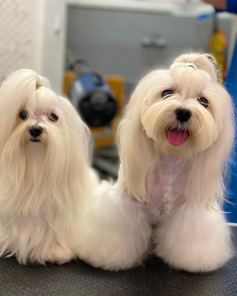 Nový e-shop se už na vás těší!