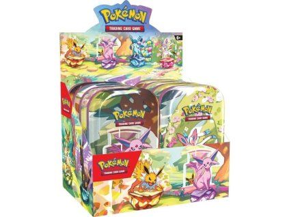 Prismatic mini tin display