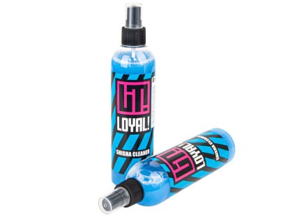 Čisticí prostředek Loyal 300 ml