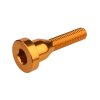 9268 Top Cap Bolt Gold