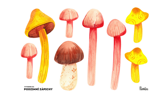 Vytiskni si - houbová zapichovátka