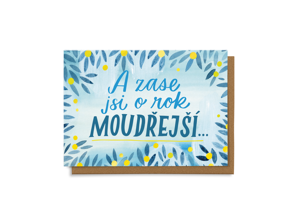 Levně A zase jsi o rok moudřejší