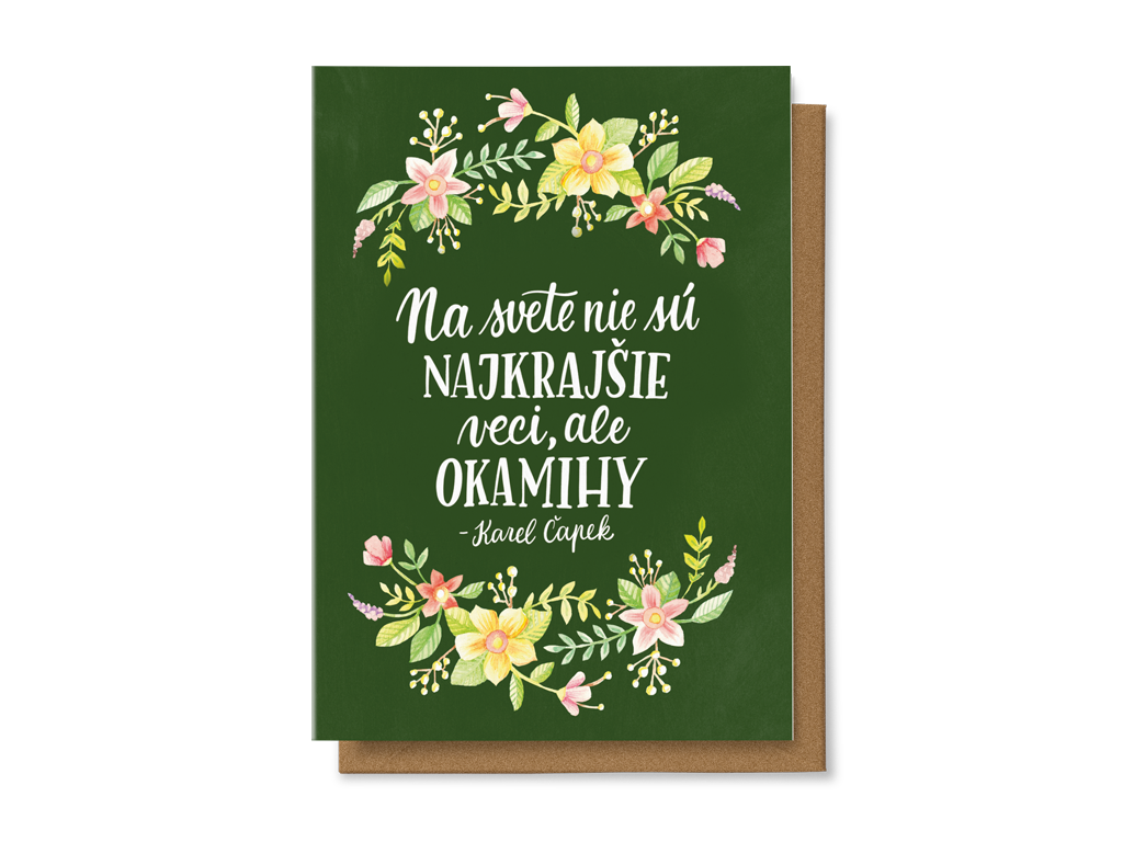 Levně Na svete nie sú najkrašie veci, ale okamihy