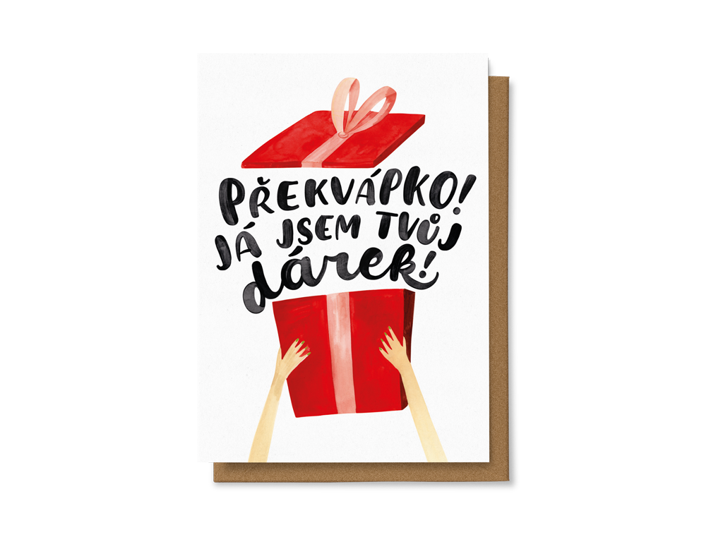 Levně Překvápko! Já jsem tvůj dárek.