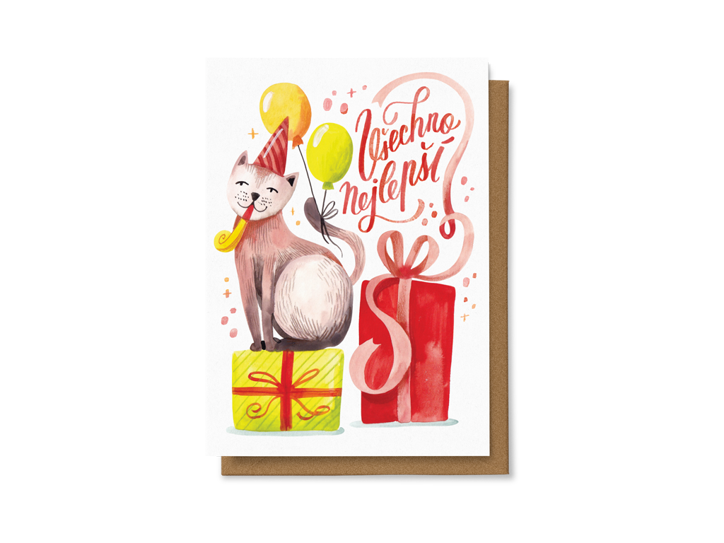 Všechno nejlepší (Kočka)