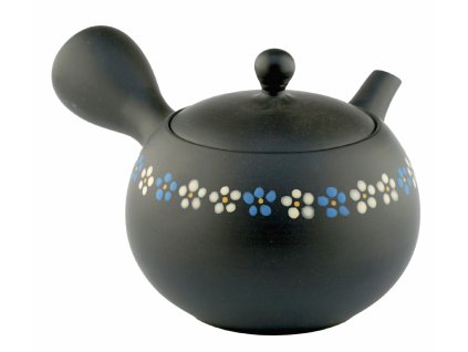 japonská konvicka kyusu 4562