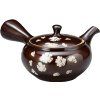 japonska konvicka kyusu 1003