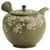 Japonská konvička Kyusu 9101