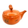 Japonská konvička Kyusu 1051C