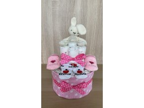Plenkový dort Dvoupatrový růžový