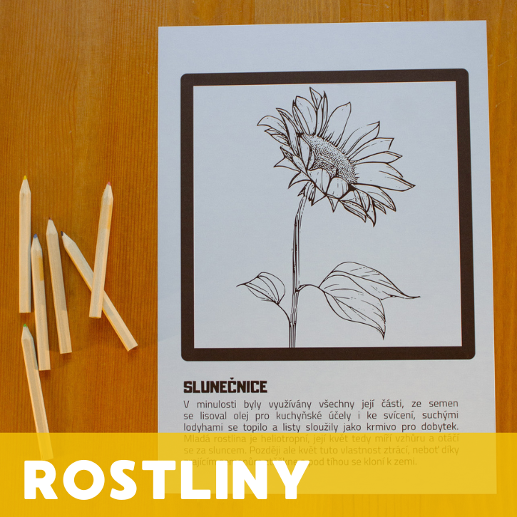 Rostliny