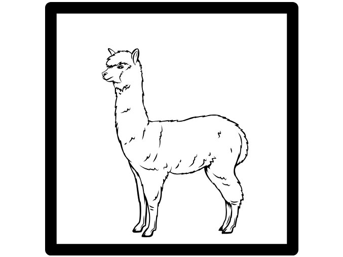 SAMOSTATNÁ OMALOVÁNKA ZVÍŘÁTKO