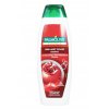 Palmolive šampon Brilliant Color 350 ml