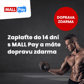 Mallpayy1