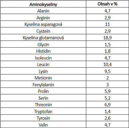 GymBeam Protein TrueWhey_1