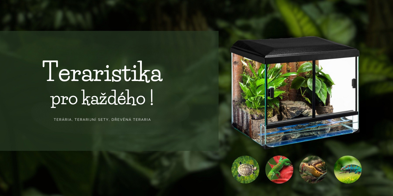 Traristika