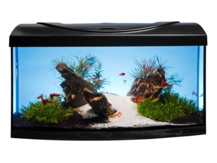 Startup 60 vypouklá