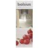 Bolsius Aromatic Diffuser 45ml Wild Cranberry