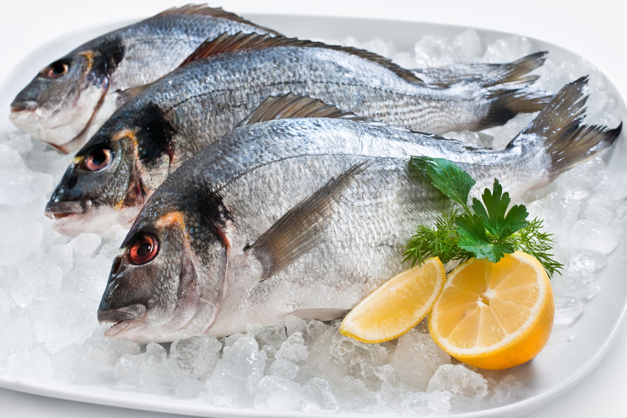 Jak poznáte čerstvé ryby?