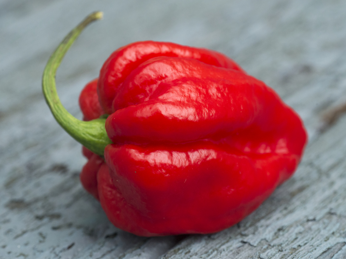 Chilli papričky a omáčka Sriracha - vše co jste kdy potřebovali vědět