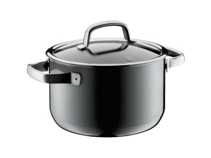 Hrnec vysoký FUSIONTEC WMF platina 20 cm 1