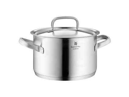 Hrnec 24 cm Gourmet Plus matný nerez