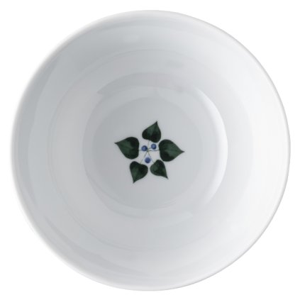 Miska Magic Garden Foliage Rosenthal 15 cm 580 ml