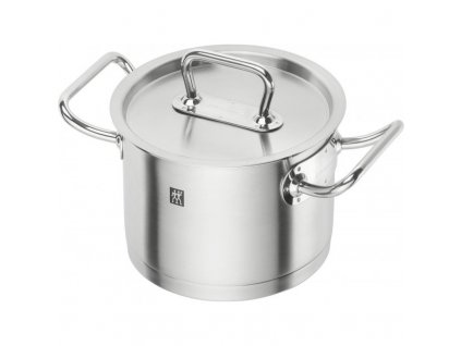 Vysoký hrnec s poklicí Profesional "S" Zwilling 16 cm