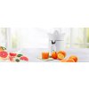 Lis na citrusy ETA Orangino