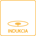 SK_indukcia