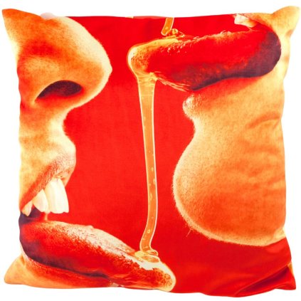 
                    
                          Dekoračný vankúš TOILETPAPER HONEY 50 x 50 cm červená, Seletti                    
                
