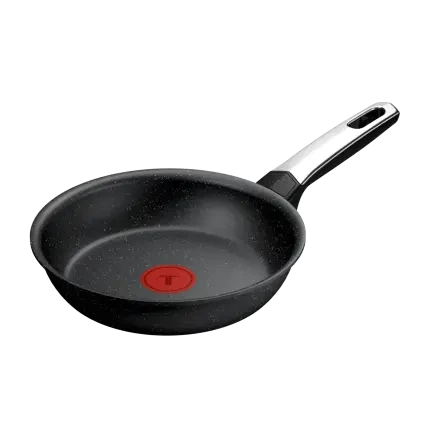 231052 panev expertise 20 cm titan tefal