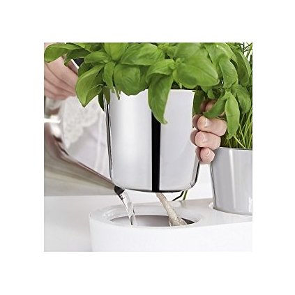 Bylinková záhradka - 1 samozavlažovací kvetináč Gourmet WMF
