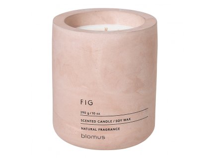 Vonná sviečka FRAGA ⌀ 9 cm, fig, Blomus