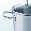 Nízky kastról VISEO 20 cm, strieborná farba, nerezová oceľ, Fissler