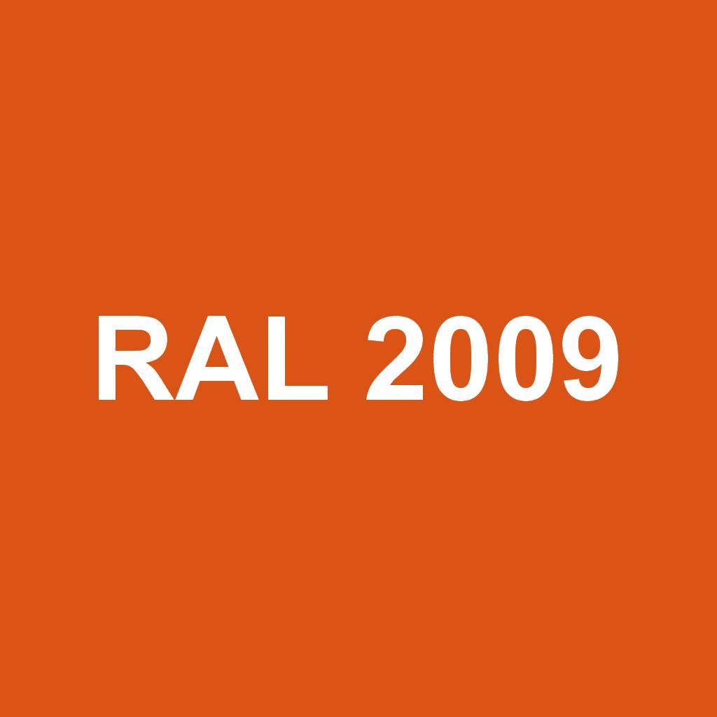 RAL 2009