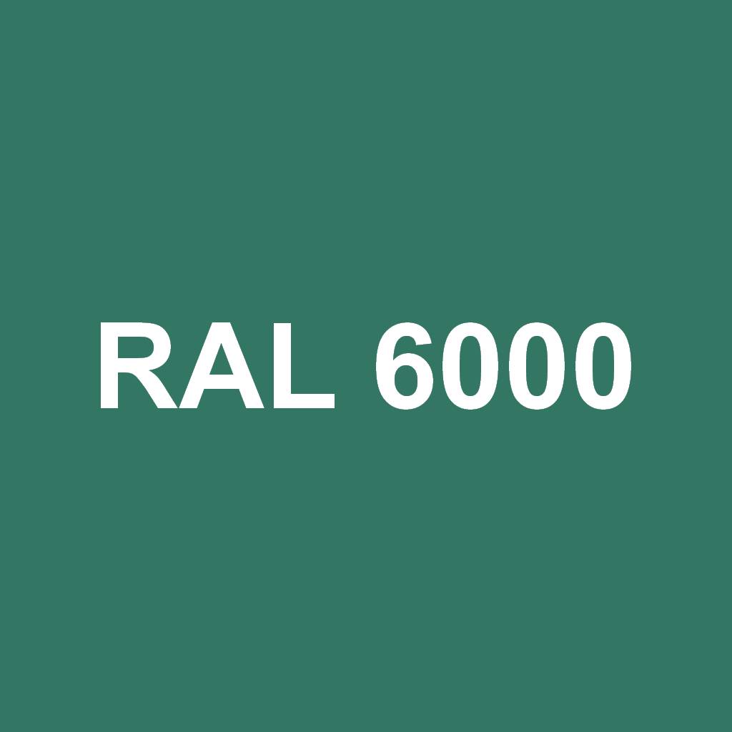 RAL 6000