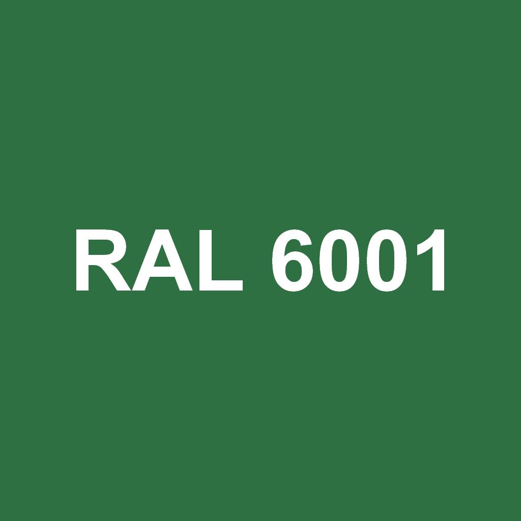 RAL 6001