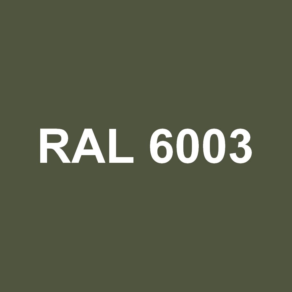 RAL 6003