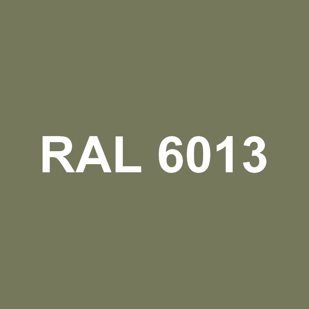 RAL 6013