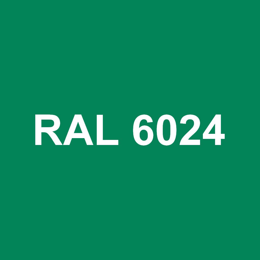 RAL 6024