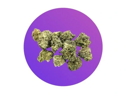 Photoroom 20260222 163522