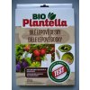 plantella bile lepove desky 10ks