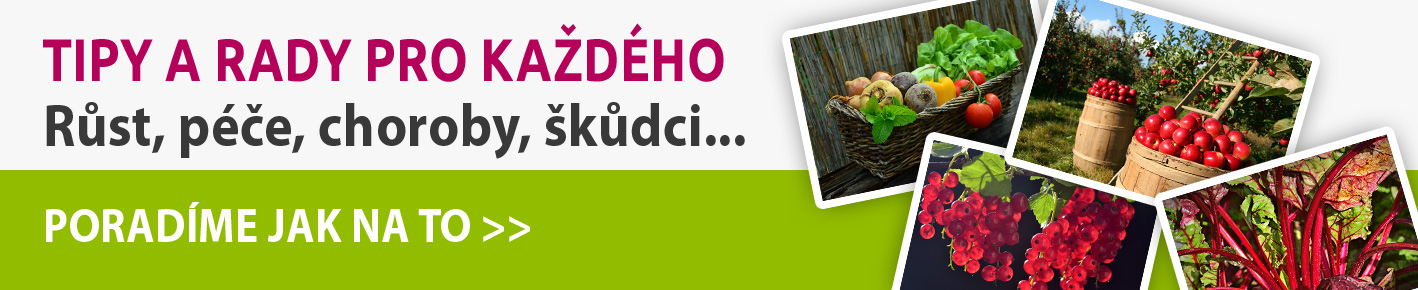 Rady a tipy zahrádkářům
