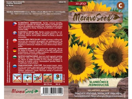 01711 Slunecnice jednoducha