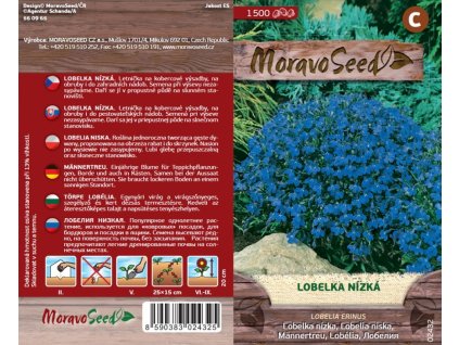 02432 Lobelka nizka